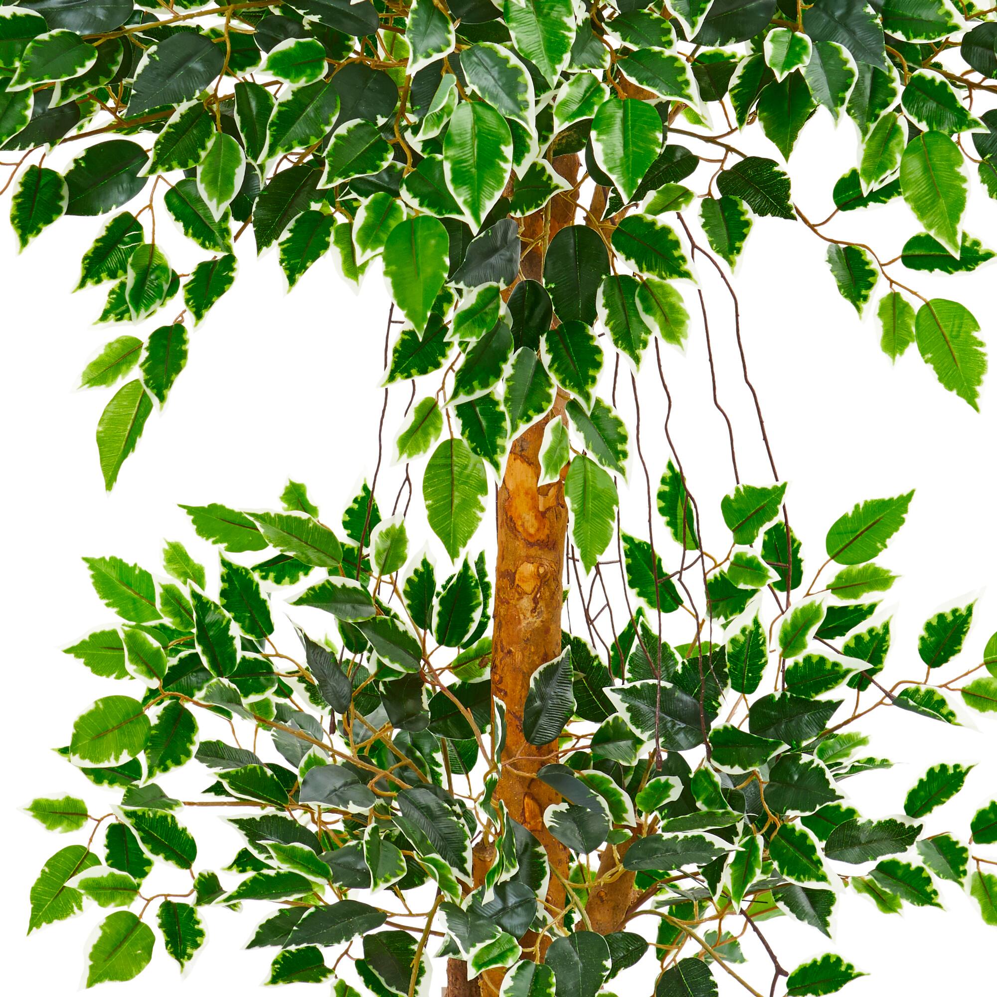 4ft. Potted Variegated Ficus Artificial Tree